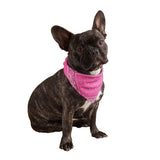 Neon Pink Dog Bandana