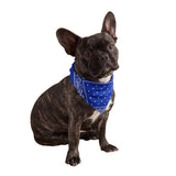 Royal Blue Dog Bandana