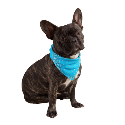 Turquoise Dog Bandana