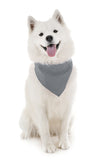 4 Pack Polyester Solid Dog Bandanas - Fast FREE Shipping