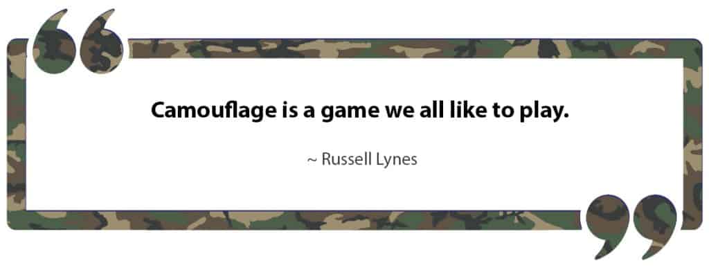 Camouflage Quote