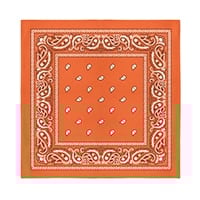 Orange Bandana