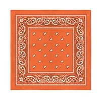 Orange Bandana