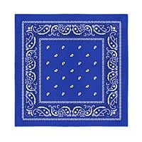 Blue Bandana