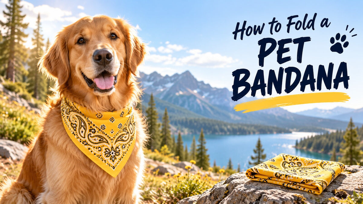 How to Fold a Pet Bandana