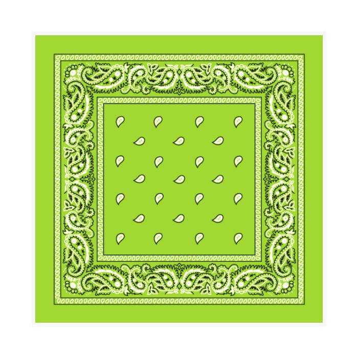 CLOSEOUT: 600 Pack Bandanas (Limited Time Offer)