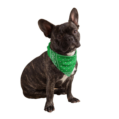 Green Dog Bandana
