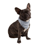 Grey Dog Bandana