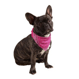 Hot Pink Dog Bandana