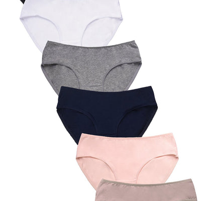 Women's Cotton Bikini Panty