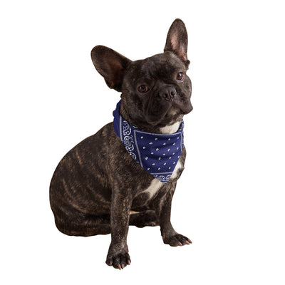 Navy Blue Dog Bandana