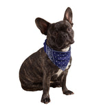 Navy Blue Dog Bandana