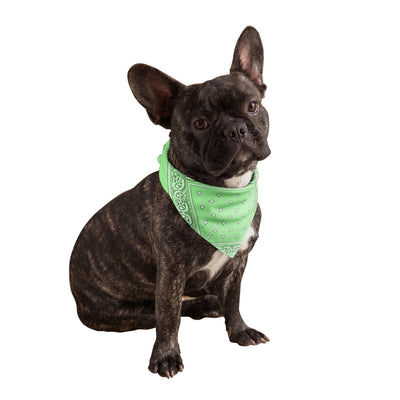 Neon Green Dog Bandana