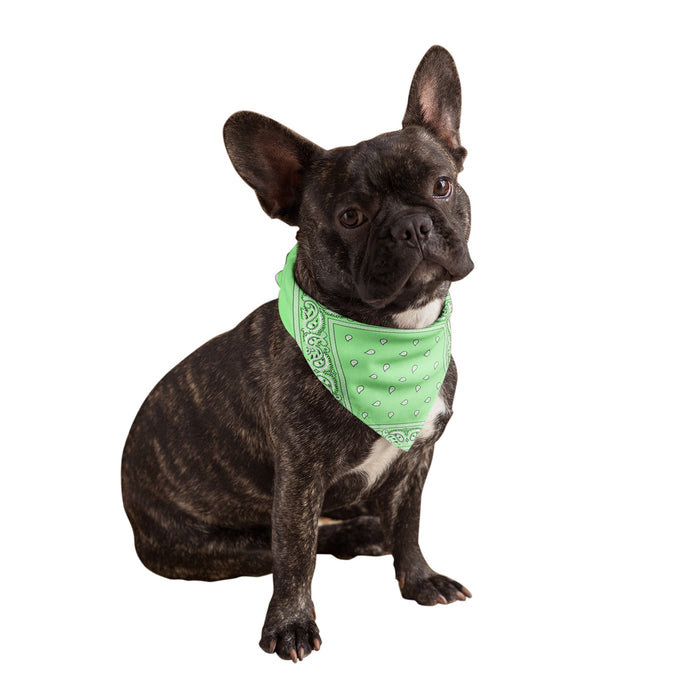 Neon Green Dog Bandana