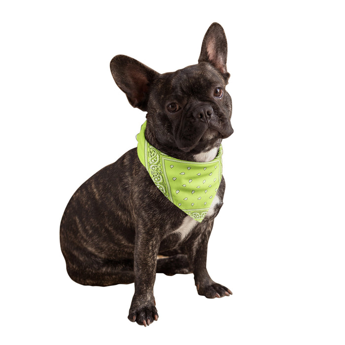 Neon Yellow Dog Bandana
