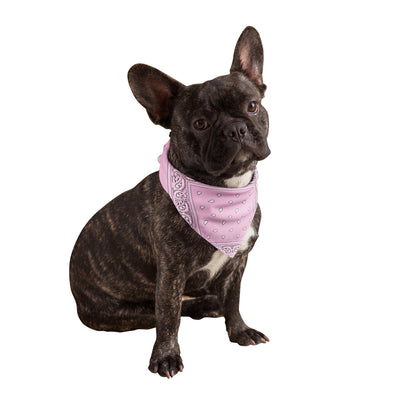 Pink Dog Bandana