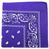 Z***UNAVAILABLE PRODUCT All Bandanas - Paisley or Solid Cotton or Polyester 22 or 27 inches Solid 22 in Cotton Black  Wholesale