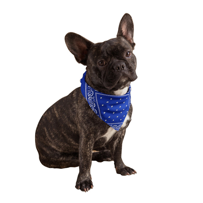 ICEMOOD Dog's Bandanas Solid Color Cotton Pet Scarf With Adjustable Snap Button, Dark Gray, Medium, 5lbs - 30lbs