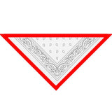 Paisley Personalized Dog Bandanas