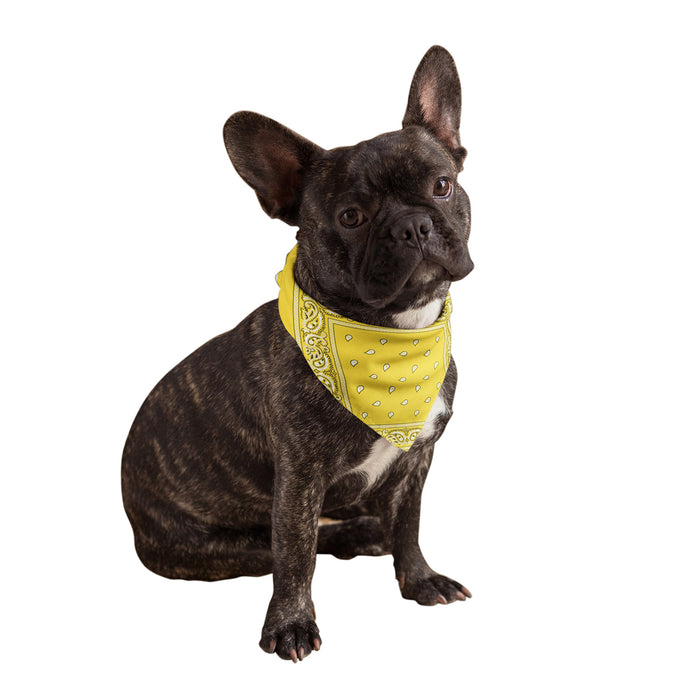 Yellow Dog Bandana
