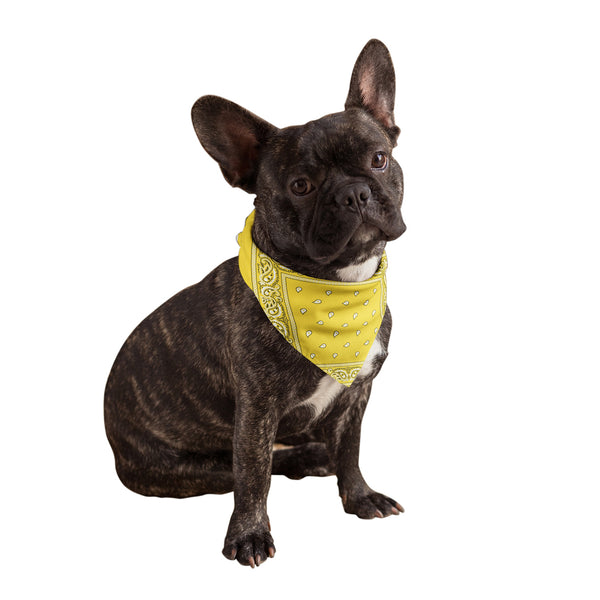 Yellow Dog Bandana Wholesale Yellow Dog Bandana for Sale Bandanas
