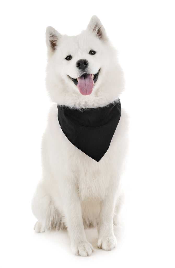 4 Pack Polyester Solid Dog Bandanas - Fast FREE Shipping