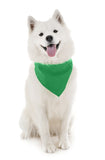 4 Pack Polyester Solid Dog Bandanas - Fast FREE Shipping