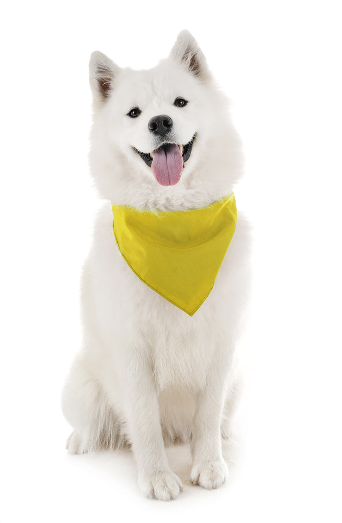 4 Pack Polyester Solid Dog Bandanas - Fast FREE Shipping
